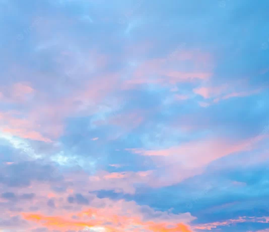 Çfarë është buraku?