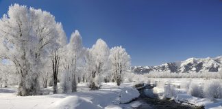 Cilat janë disa nga gabimet e besimtarëve gjatë dimrit?