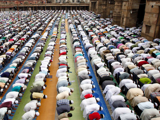 Cilat janë cilësitë e grupit të shpëtuar dhe a ekziston sot ajo palë e ndihmuar?