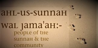 Kush janë vehabistët?