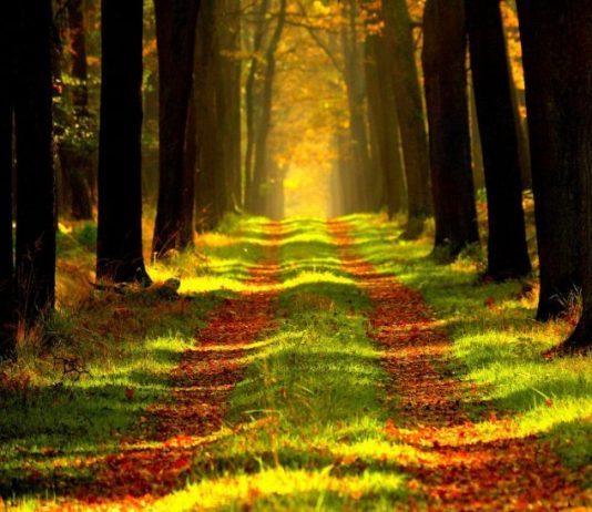 Si përshkruhet Dita e Shtimit në xhenet?