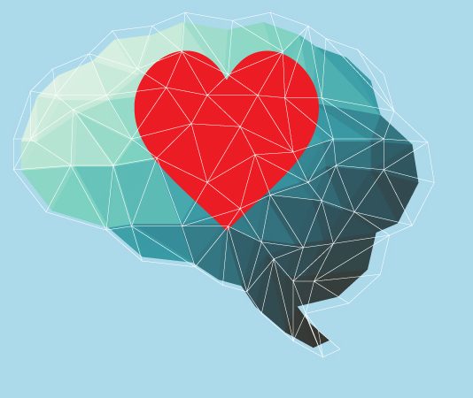 Si e shpjegon Islami rolin e organit të zemrës dhe atë të trurit?