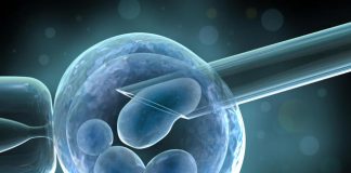 A lejohet fekondimi artificial – in vitro?