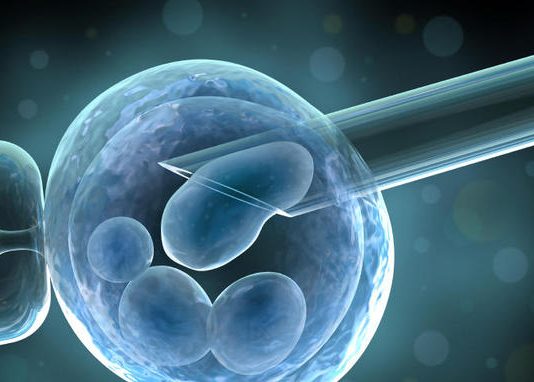 A mund të shërohet steriliteti?