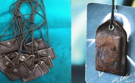 A lejohet mbajtja e hajmalisë?