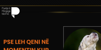 Pse leh qeni në momentin kur thërritet ezani?