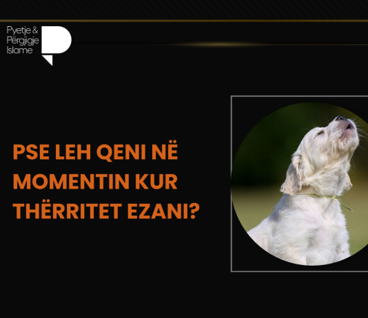 Pse leh qeni në momentin kur thërritet ezani?