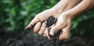 Nëse shkel me këmbë ose prek me dorë ndonjë papastërti, a prishet abdesi?