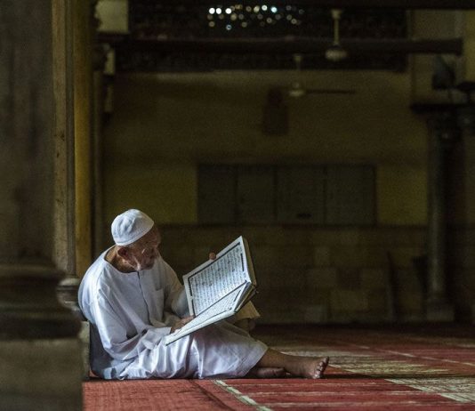 Si të jemi njëjtë në xhenet ne që jetojmë 60 vjet me popujt që kanë jetuar 1000 vjet?