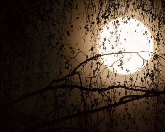 Jam e sëmurë prej magjisë