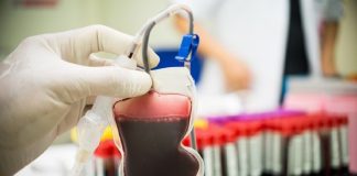 A lejohet dhe a është e lavdëruar dhënia e gjakut?