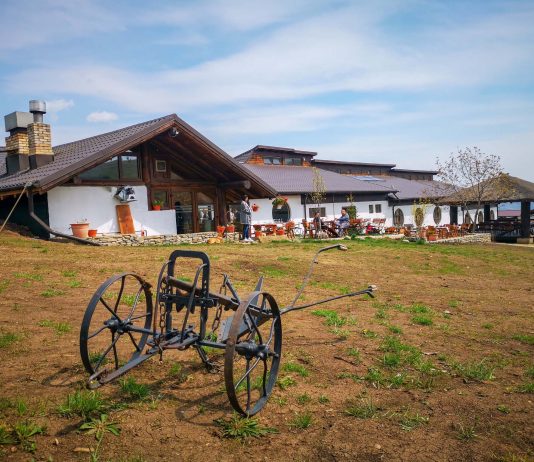 Ndikimi i ushqimit në pastërtinë e kafshëve të fermave dhe lejimin e tyre