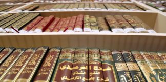 A mund të studiohet gjuha arabe në Kosovë?