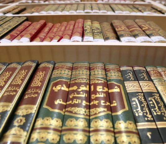 A mund të studiohet gjuha arabe në Kosovë?