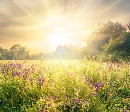 Burri im falet pas lindjes së diellit. Si ta këshillojë?