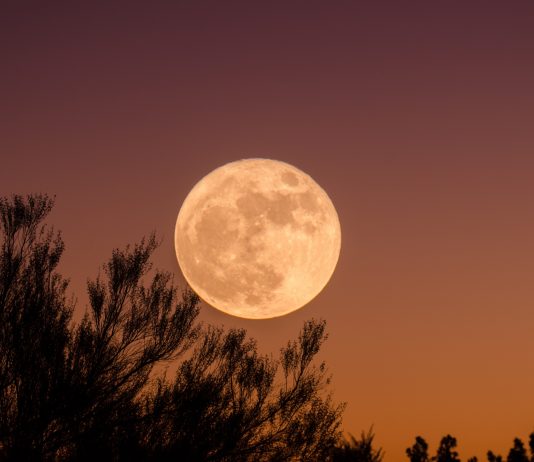 Çka është nata e Kadrit dhe kur është ajo?