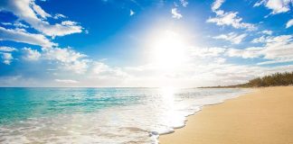 A e shikojnë gratë Allahun në xhenet?