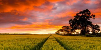 A i falen mëkatet jobesimtarit pasi e pranon Islamin?