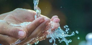 Si t’i largojë veset kur të marr abdes?