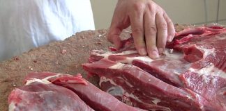 Pse është e ndaluar ngrënia e mishit të derrit? Pse është e ndaluar ngrënia e mishit të derrit ne islam?