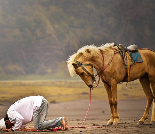 Përse Allahu i urdhëroi melekët t`i bëjnë sexhde Ademit?