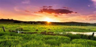 A e ka parë Muhamedi ﷺ Allahun e Lartësuar?
