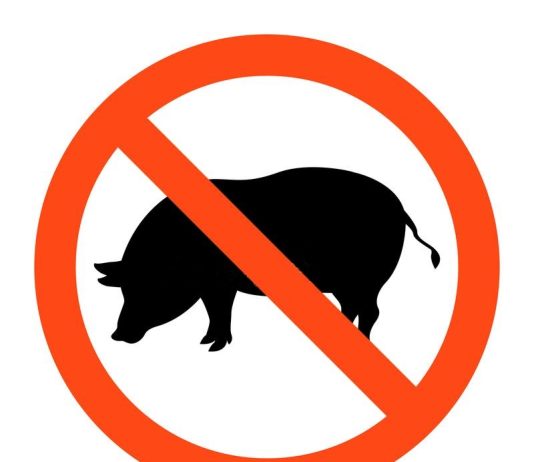 A është mëkat ta shes mishin e derrit?