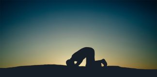 Kur kalon koha e jacisë?