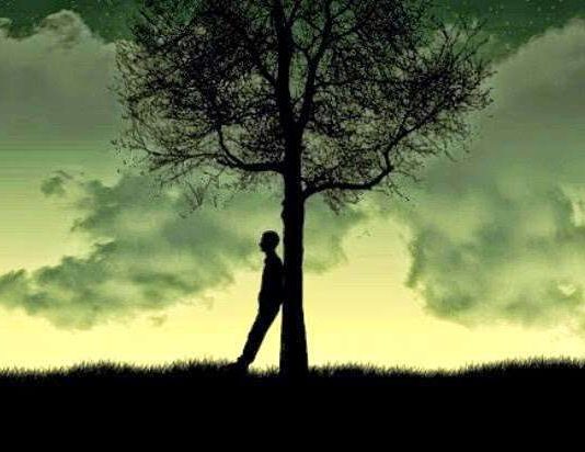 Ata që tallen me ndjekësit e Kuranit dhe Sunetit?! tallja me pasuesit e Kuranit dhe Sunetit