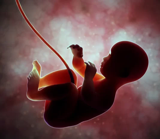 Nëse një fëmijë lind i vdekur, a ringjallet ai në botën tjetër?