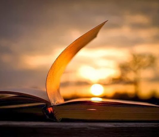 Cila është vlera e diturisë, sipas ajeteve kuranore?