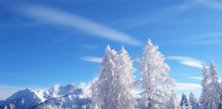 A lejohet shprehja: “Kisha dhënë shtatë dimra për një verë”?