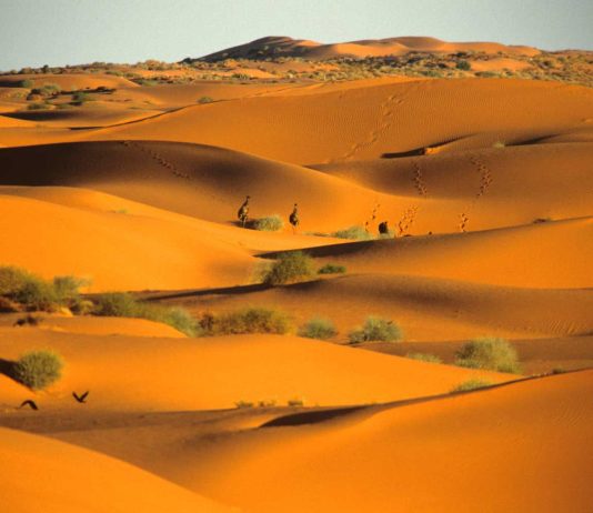 A është e vërtetë se Ebu Hurejra e ka pranuar Islamin 3 vjet para vdekjes së Pejgamberit ﷺ?