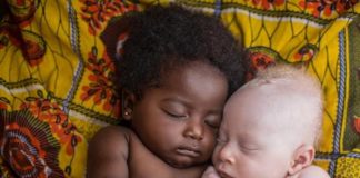 Si kanë lindur racat në tokë?