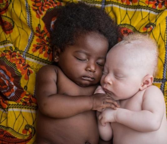 Si kanë lindur racat në tokë?