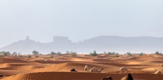 A ka pajtueshmëri të plotë mes dijetarëve të ehlu sunetit për ardhjen e imam Mehdiut?