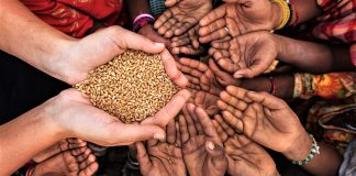 A lejohet pa lejen e burrit të jap sadaka diçka nga shtëpia?