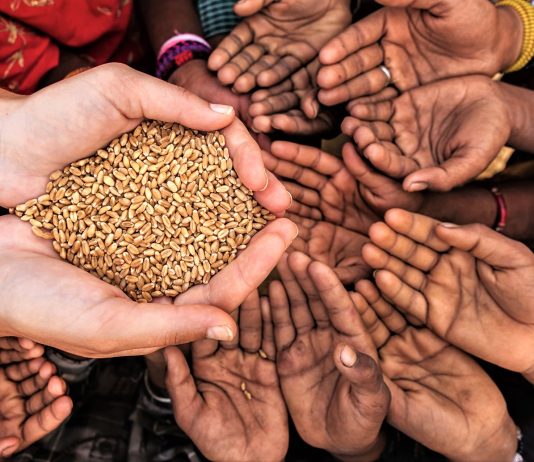A lejohet pa lejen e burrit të jap sadaka diçka nga shtëpia?