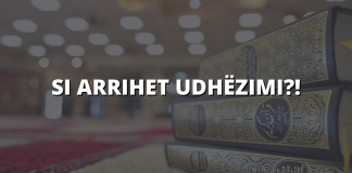 Si arrihet udhëzimi?