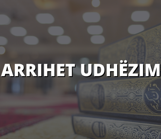 Si arrihet udhëzimi?