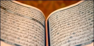 A keni mundësi ndonjë këshillë apo udhëzim?