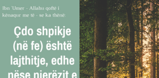 A tolerohet ndonjëherë bidati?