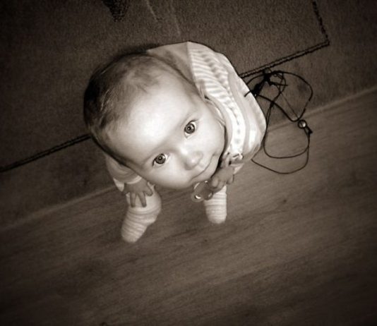 Jetimët, a janë të obliguar t’i japin vitrat?