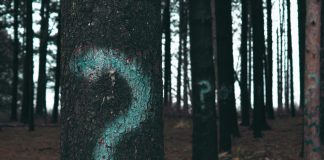 Ku ndodhet varri i Ademit (paqja e Allahut qoftë mbi të)?