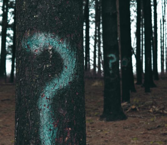 Ku ndodhet varri i Ademit (paqja e Allahut qoftë mbi të)?