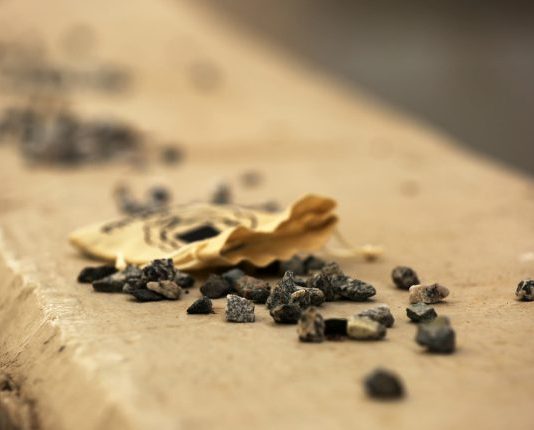 A i lejohet gruas shtatzënë që të caktojë dikë tjetër për të gjuajtur guralecët në vend të saj?