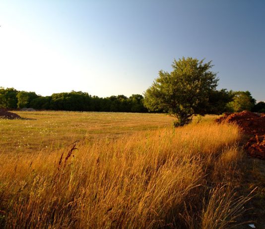 A bëri Ademi shirk?