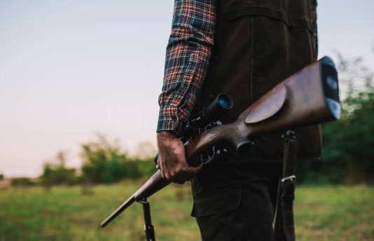 Si duhet të veprosh nëse e qëllon gjahun dhe e arrin të gjallë?