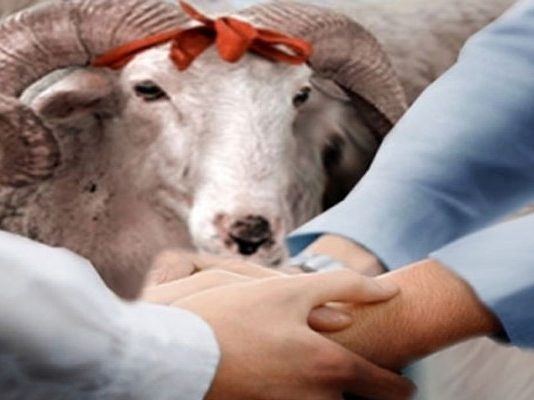 Si ndahet mishi i Kurbanit?