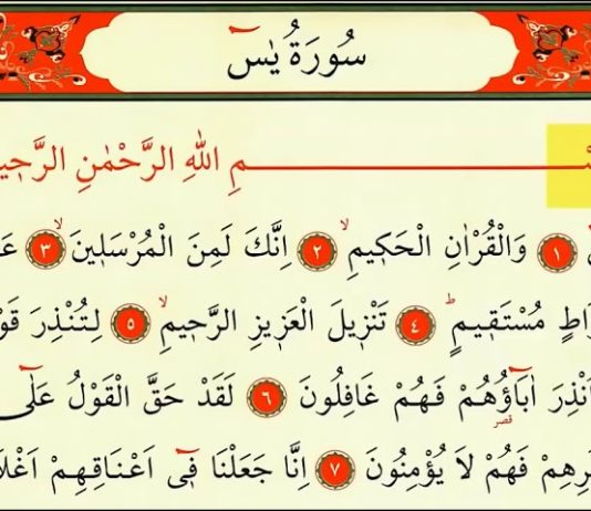 A pranohet Jasini nëse e bëj nijet për ta lexuar për dikë tjetër?